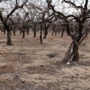 압량읍사무소 이미지