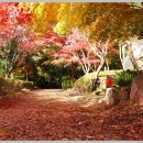 금강공원 이미지