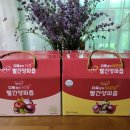 사회적협동조합 케어팜더욱 이미지