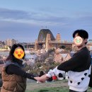 아해글로벌 | 시드니 가족여행 일주일, Day 4 - 타롱가 (Taronga) 동물원과 일몰 맛집 Obsevatory Park