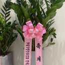 경희김앤안한의원 네이버블로그