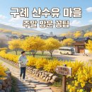 홍동면 송정마을회관 | 구례 산수유 마을 주말 방문 꿀팁 — 주차·동선·사진 스팟 총정리