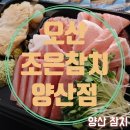 양산참치::))대박 저렴한 금액에 고퀄리티 싱싱한 참치회를 집에서 !!완전 혜자스러운 오산 조은참치...