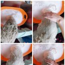 통영반려견 셀프목욕탕 이미지