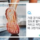 발로만 이미지
