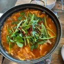 애견의 명가 궁 이미지