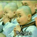 재밌는일연구소