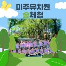 숲속리더유치원 | 자연과 함께하는 글로벌리더 미주유치원 숲체험