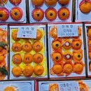 오늘청과2 이미지