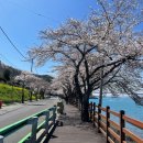 노량 해안도로길 이미지