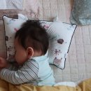 태열농장 이미지