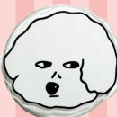 모이모 이미지