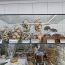 아르테 | 서울 신도림 디저트 맛집 카페 아르테 내돈내산 방문 후기