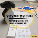 반려동물 화장실 냄새 제거 고민끝! 청원상사 화장실 크리너 후기
