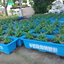 물망초경로당 이미지