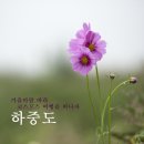 APO대구 이미지