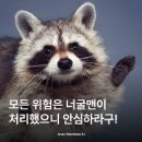 스튜디오COREE | 프랑스 교환 가기 한 달 전
