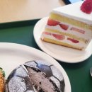 인필드(INFEELD) 이미지