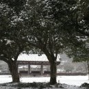 도팍네특산품 네이버블로그