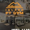 아일랜드피티짐 이미지