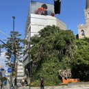 충무로필한의원 | [서울/충무로] 백신으로 예방되는 암이 있다? 자궁경부암 백신 가다실9 접종 후기