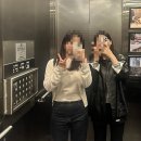 디컨스 | 9월 시드니 여행 :: 5박6일 여행 마지막날, 투어(페더데일동물원, 링컨스락, 애코포인트, 별구경)