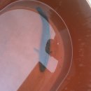 원일카센타 이미지