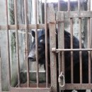 주영농장 이미지