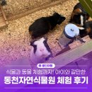 아이(233) | 아이와 체험 굿굿! 용인 동천자연식물원에서 동물 식물과 친구된 방문후기!