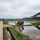 영일농장 이미지