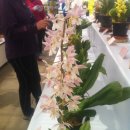 솔샘세차장 이미지