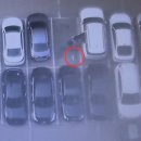 연수4단지입구(38285) | 김관채 고양이탐정 후기/ (경기 남양주, 인천 연수구, 경기 광주, 경기 부천, 서울 양천구) 승용차 엔진...