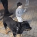 어린이 놀이터 이미지
