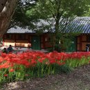 불갑사관광지 이미지