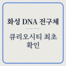 토리커뮤니케이션즈 네이버블로그