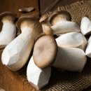 플레임포티 이미지