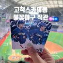 월드필리 | 불꽃야구 VS 동아대 직관 후기🔥 고척 먹거리 &amp; 409열 꿀팁 정리