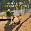 (주)판다 이미지