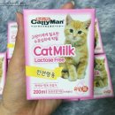 송이캣 이미지