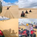 민* 외1인 | 시드니 자유여행 중 만족도 높았던 민투어(쿼드바이크, 포트스테판 사막썰매, 오크베일 동물원) 첫번째...