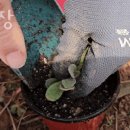 큰돌농장 이미지