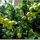 양촌보건지소 이미지