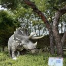 덕소자연사박물관 | 27개월 아기랑 남양주 가볼 만한 곳 “덕소 자연사박물관” 후기