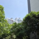 이마트24 오치주공점 | 산본 11구역 임장 장미, 백합, 주공11