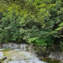 수도산 자연휴양림 이미지