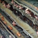 혜리농장 이미지