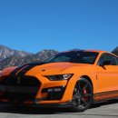 2020 Ford Mustang Shelby GT500 이미지