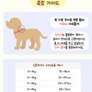 토파즈 강아지 헬로키티 목걸이 구매 후기