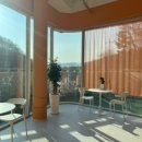 울루라떼 | [용인애견카페] 용인시 처인구 대형견/소형견 가능한 실내 애견카페 울루라떼 방문 후기 🐶