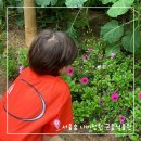 식물원 페달로옆 | 서울숲 자전거 대여 나비정원 곤충식물원 아이랑 (편의점, 맛집)